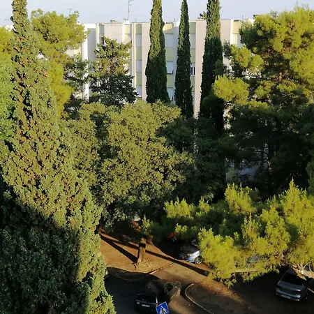 Sunny Spalato